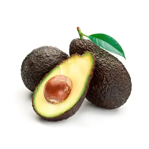 Aguacate Hass