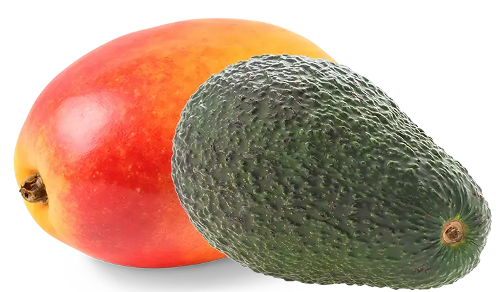 Aguacate y Mango